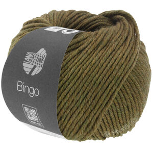 Lana Grossa BINGO Mélange (We Care) | 1012-oliivi meleerattu