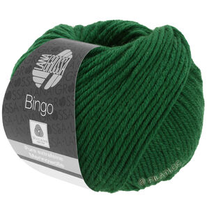 Lana Grossa BINGO Uni/Melange | 174-kuusi