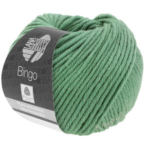 Lana Grossa BINGO Uni/Melange | 196-harmaanvihreä