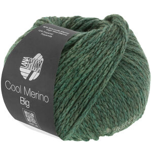 Lana Grossa COOL MERINO Big | 205-sammalenvihreä