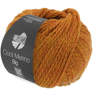 Lana Grossa COOL MERINO Big | 213-ruoste