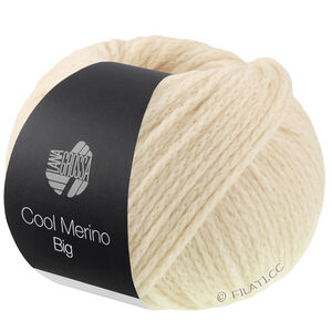 Lana Grossa COOL MERINO Big | 241-simpukka