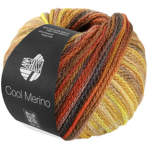 Lana Grossa COOL MERINO Color | 314-kameli/umbra/ruoste/keltainen/beige/taupe/nougat