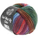 Lana Grossa COOL WOOL Big Color | 4003-vihreä/petrooli/viininpunainen/sireeni/sininen/punainen