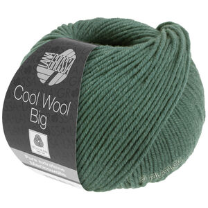 Lana Grossa COOL WOOL Big  Uni/Melange | 1004-sammalenvihreä