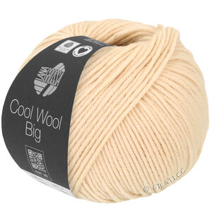 Lana Grossa COOL WOOL Big  Uni/Melange | 1016-simpukka