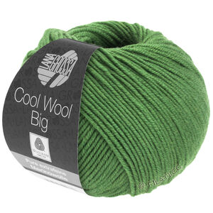 Lana Grossa COOL WOOL Big  Uni/Melange | 0997-lehdenvihreä