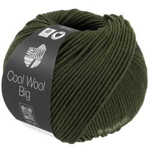 Lana Grossa COOL WOOL Big Mélange (We Care) | 1695-loden vihreä meleerattu