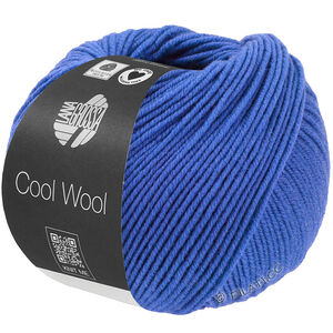 Lana Grossa COOL WOOL Mélange (We Care) | 1503-sininen meleerattu