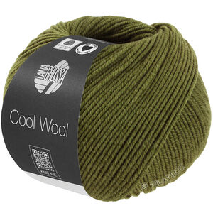 Lana Grossa COOL WOOL Mélange (We Care) | 1506-oliivi meleerattu
