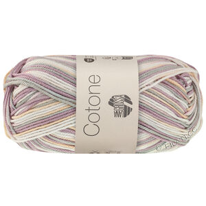 Lana Grossa COTONE  Print/Spray/Mouliné | 369-valkoinen/persikka/sireeni/harmaa