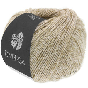 Lana Grossa DIVERSA | 06-pellava