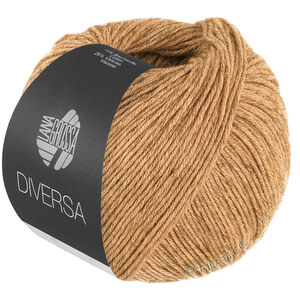 Lana Grossa DIVERSA | 31-