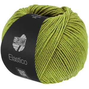 Lana Grossa ELASTICO | 202-pistaasi