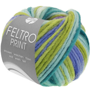 Lana Grossa FELTRO Print | 1315-limetti/lila/minttu/oleanterinvihreä/tummanvihreä
