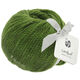 Lana Grossa LANDLUST MERINO 120 | 117-vihreä