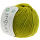 Lana Grossa LANDLUST MERINO 180 (GOTS & ICEA) | 214-pistaasi