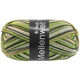 Lana Grossa MEILENWEIT 6-FACH 150g Soft | 9659-