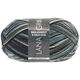 Lana Grossa MEILENWEIT 8-FACH 100g Print | 9643-
