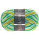Lana Grossa MEILENWEIT 100g Fantasy | -