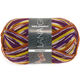 Lana Grossa MEILENWEIT 100g Fantasy | -