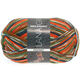 Lana Grossa MEILENWEIT 100g Fantasy | -
