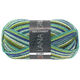 Lana Grossa MEILENWEIT 100g Glamy | -