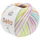 Lana Grossa MEILENWEIT 100g Seta Chiara | 3432-