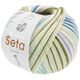 Lana Grossa MEILENWEIT 100g Seta Chiara | 3433-