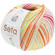 Lana Grossa MEILENWEIT 100g Seta Chiara | 3434-
