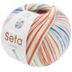 Lana Grossa MEILENWEIT 100g Seta Chiara | 3436-