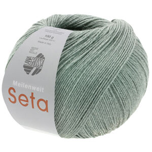 Lana Grossa MEILENWEIT 100g Seta | 14-harmaa