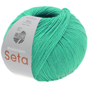 Lana Grossa MEILENWEIT 100g Seta | 41-turkoosi jade