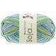 Lana Grossa MEILENWEIT 100g Soja Lago | 5166-