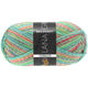 Lana Grossa MEILENWEIT 100g Terrazzo | -