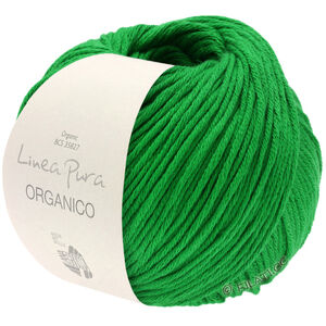 Lana Grossa ORGANICO (Linea Pura) | 163-ruohonvihreä