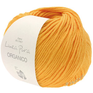 Lana Grossa ORGANICO (Linea Pura) | 165-keltuainen