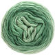 Lana Grossa SLOW WOOL LINO Dégradé | 203-pastellinvihreä/harmaanvihreä/patinanvihreä