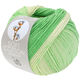 Lana Grossa SOFT COTTON Dégradé | 118-ecru/pehmeä vihreä/jade