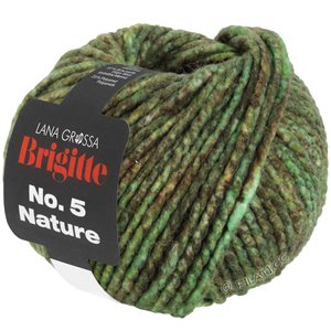 Lana Grossa BRIGITTE NO. 5 Nature | 103-vihreä/ruskea meleerattu