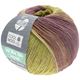 Lana Grossa COOL WOOL Baby Dégradé | 512-keltainen/ecru/kameli
