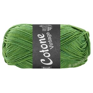 Lana Grossa COTONE Vintage | 261-vihreä/vaaleanvihreä/keltainen meleerattu