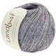 Lana Grossa LANDLUST SOMMERSEIDE Mélange | 103-antrasiitti/lila/petrooli