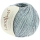 Lana Grossa LANDLUST SOMMERSEIDE Mélange | 106-minttu/farkku/harmaa
