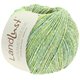 Lana Grossa LANDLUST SOMMERSEIDE Mélange | 113-vihreänkeltainen meleerattu