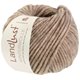 Lana Grossa LANDLUST WINTERWOLLE | 37-beige meleerattu