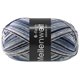 Lana Grossa MEILENWEIT 6-FACH 150g DENIM MIX | 9637-