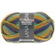 Lana Grossa MEILENWEIT 8-FACH 100g Print | 9859-