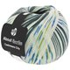 Lana Grossa MEILENWEIT 100g Cashmere City (ABOUT BERLIN) | 874-