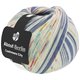 Lana Grossa MEILENWEIT 100g Cashmere City (ABOUT BERLIN) | 876-